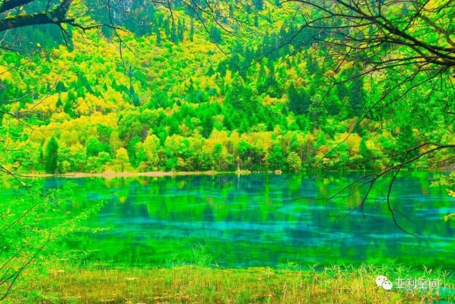 为什么建筑业对超龄农民工要发布的清退令？游戏画面