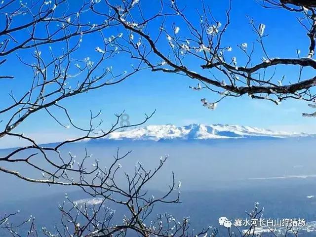 哪种腰部按摩器好用？2024年五大人气单品合集推荐